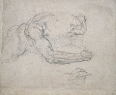 Studie eines Mannes, der vom Boden aufsteht von Michelangelo Buonarroti